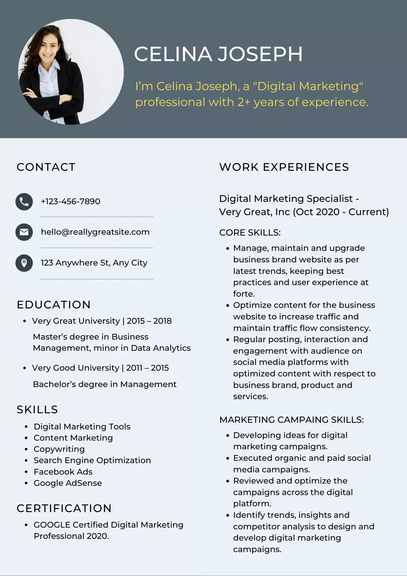 Sample Resume for Digital Marketing